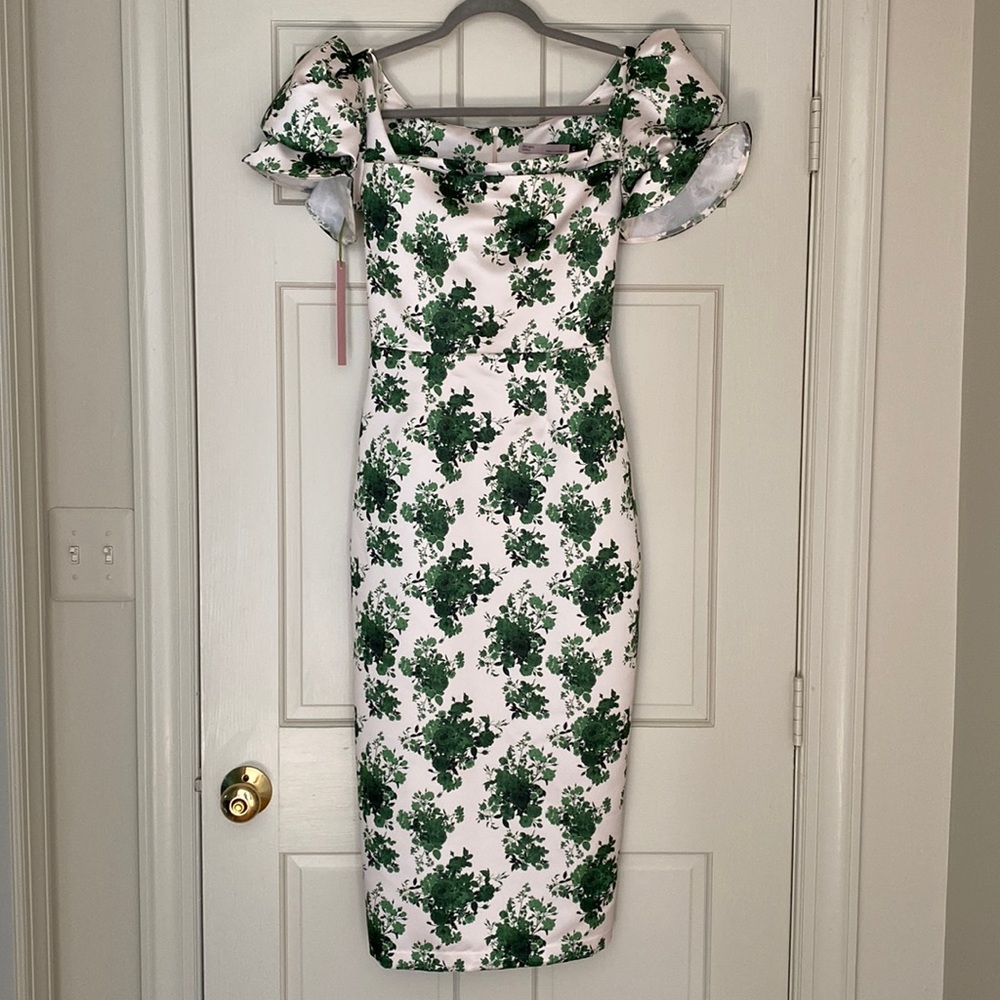 Damaris Bailey Ivy Rose dress. New with tags! Size XS
